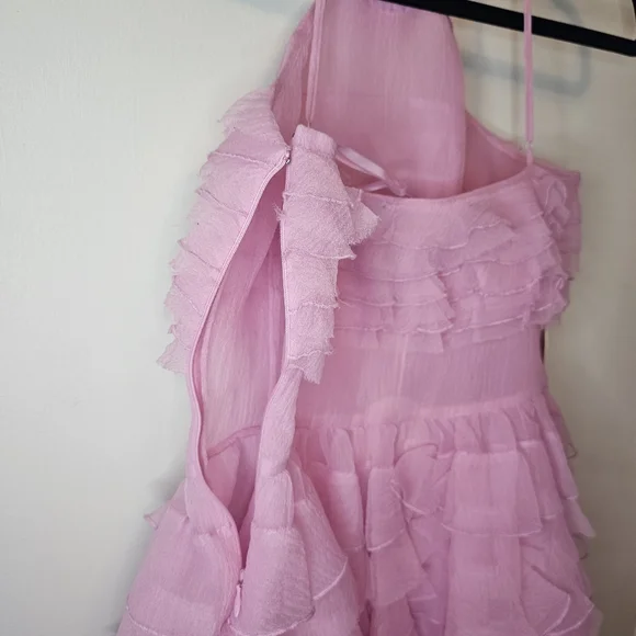 NWT STAUD Florian Rosette Appliqued Tulip Pink Ruffled Organza Mini Dress Size 8 - Picture 12 of 14